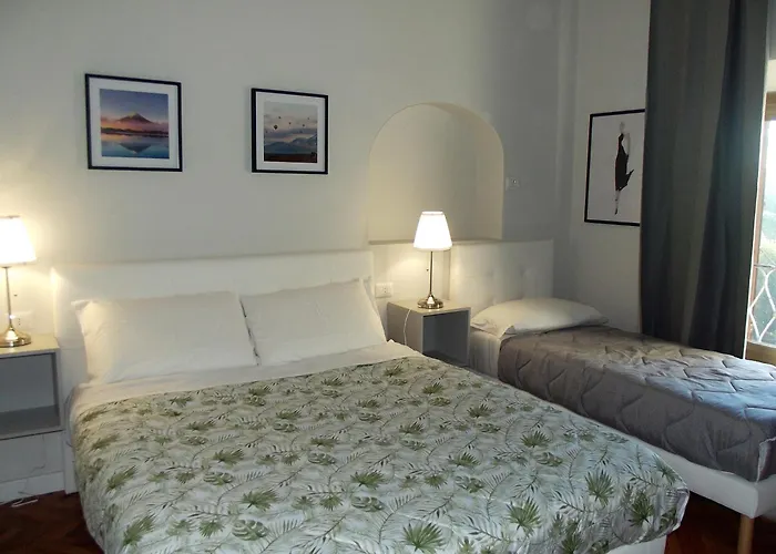 Bonavista Отель типа 